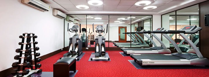 417/ibis Gurgaon Hotel - Gurgaon - 12.jpg